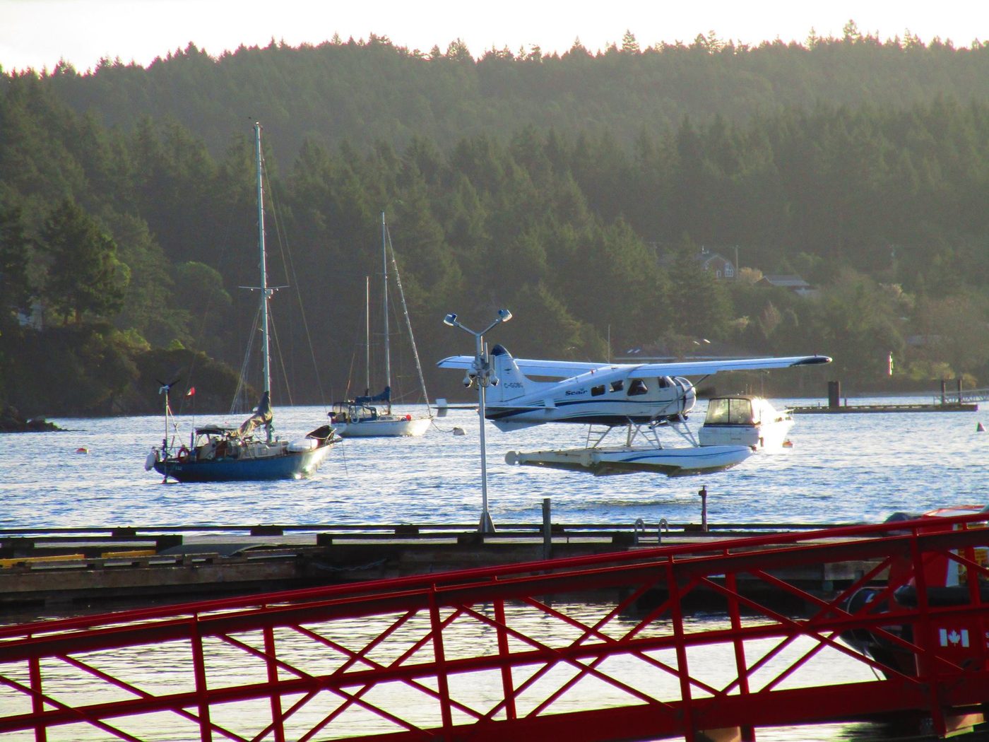 Floatplane and sailboats in Ganges harbour